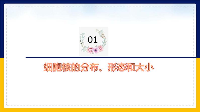 苏教版2019高一生物必修一2.2.3 细胞的结构和生命活动——细胞核（课件）05