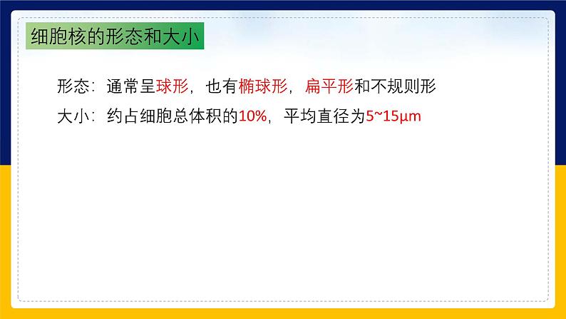 苏教版2019高一生物必修一2.2.3 细胞的结构和生命活动——细胞核（课件）07