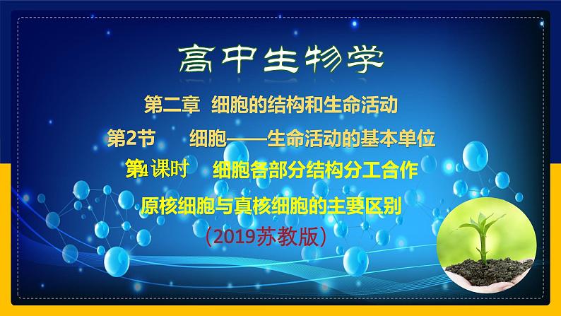 苏教版2019高一生物必修一2.2.4 细胞的结构和生命活动——细胞各部分结构分工合作（课件）01