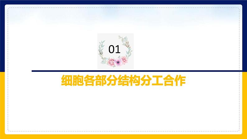 苏教版2019高一生物必修一2.2.4 细胞的结构和生命活动——细胞各部分结构分工合作（课件）03