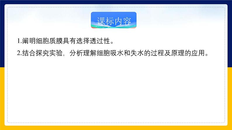 苏教版2019高一生物必修一2.2.5 细胞的结构和生命活动——细胞质膜具有选择透过性（课件）02