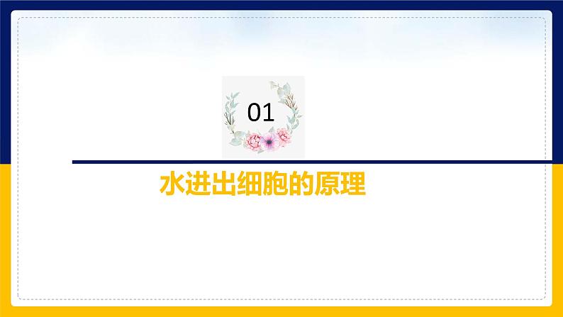 苏教版2019高一生物必修一2.2.5 细胞的结构和生命活动——细胞质膜具有选择透过性（课件）04