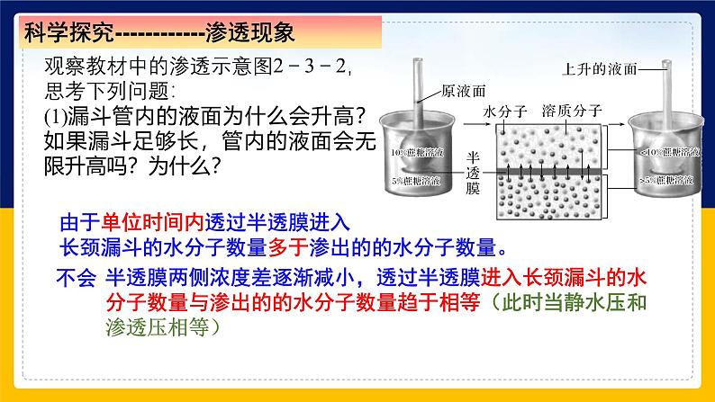 苏教版2019高一生物必修一2.2.5 细胞的结构和生命活动——细胞质膜具有选择透过性（课件）08