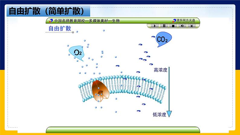 苏教版2019高一生物必修一2.3 物质进出细胞的运输方式（课件）07