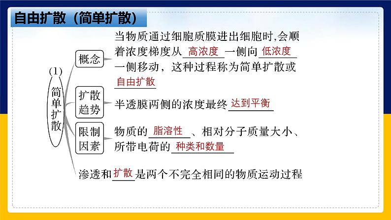 苏教版2019高一生物必修一2.3 物质进出细胞的运输方式（课件）08