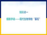 苏教版2019高一生物必修一第二章 细胞的结构和生命活动（单元复习课件）