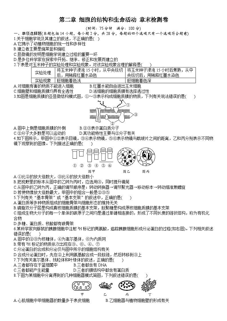 苏教版2019高一生物必修一第二章 细胞的结构和生命活动（单元测试）01