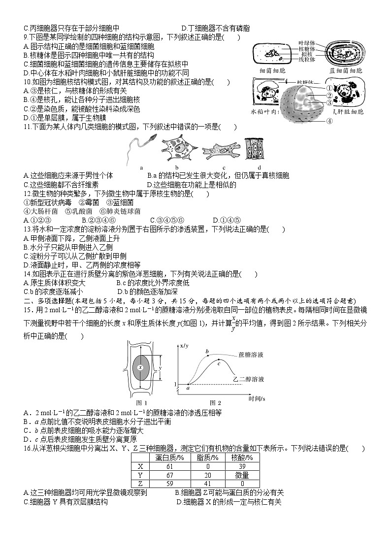 苏教版2019高一生物必修一第二章 细胞的结构和生命活动（单元测试）02
