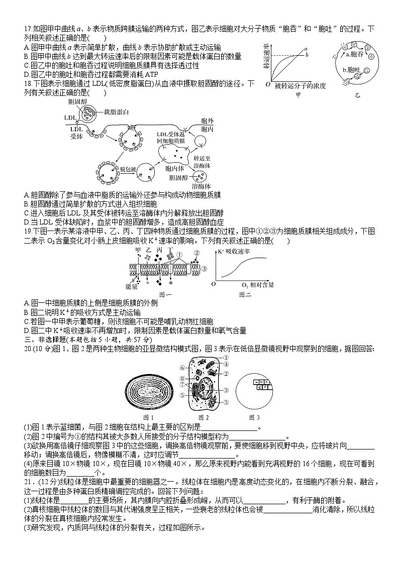 苏教版2019高一生物必修一第二章 细胞的结构和生命活动（单元测试）03