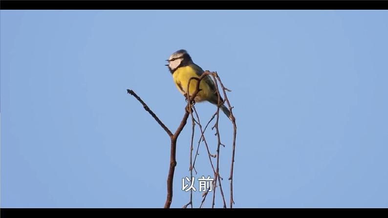 苏教版2019高一生物必修一3.1.1 生物催化剂——酶（课件）03