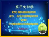 苏教版2019高一生物必修一3.1.2 ATP是驱动细胞生命活动的直接能源物质（课件）