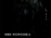 苏教版2019高一生物必修一3.1.2 ATP是驱动细胞生命活动的直接能源物质（课件）