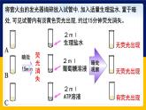 苏教版2019高一生物必修一3.1.2 ATP是驱动细胞生命活动的直接能源物质（课件）