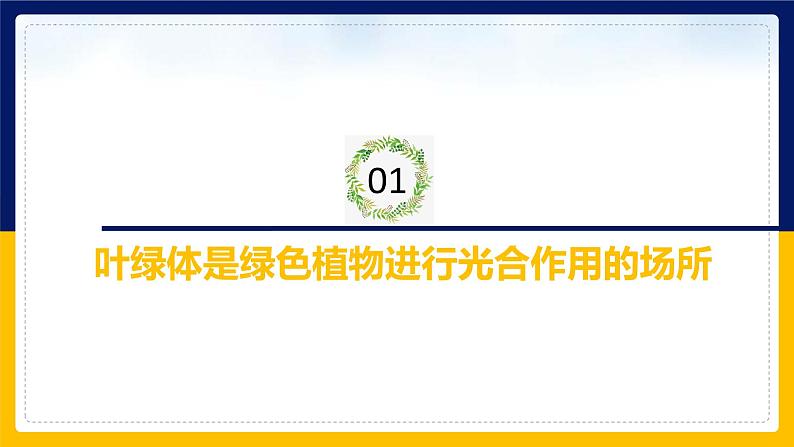 苏教版2019高一生物必修一3.2.2 光合作用——光能的捕获和转换（课件）03