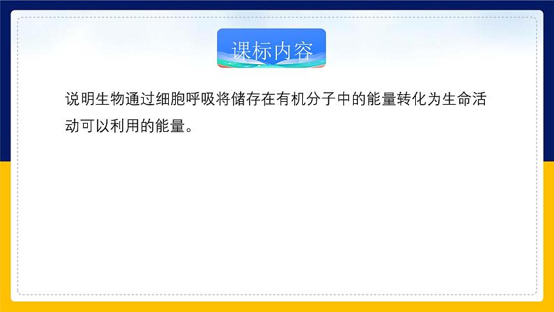 苏教版2019高一生物必修一3.4.2 影响细胞呼吸的环境因素及细胞呼吸原理的应用（课件）02