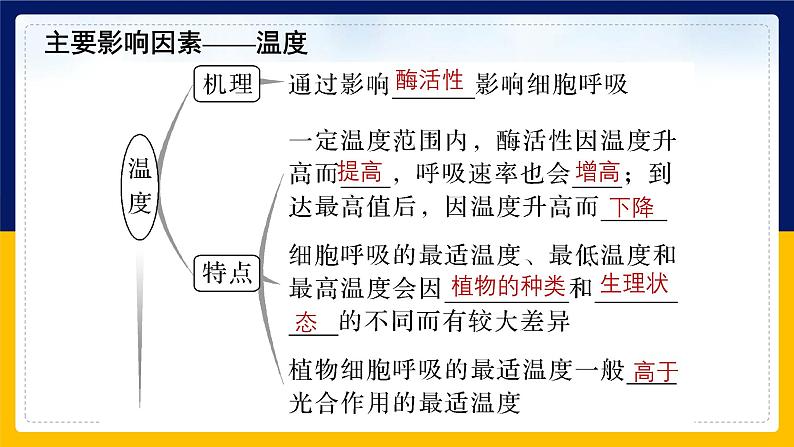 苏教版2019高一生物必修一3.4.2 影响细胞呼吸的环境因素及细胞呼吸原理的应用（课件）05