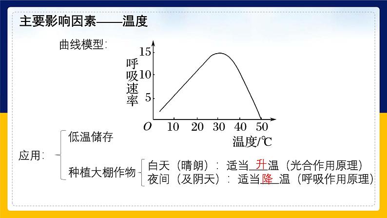 苏教版2019高一生物必修一3.4.2 影响细胞呼吸的环境因素及细胞呼吸原理的应用（课件）06