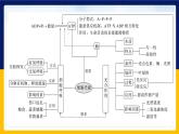 苏教版2019高一生物必修一第三章 细胞中能量的转换和利用（单元复习课件）