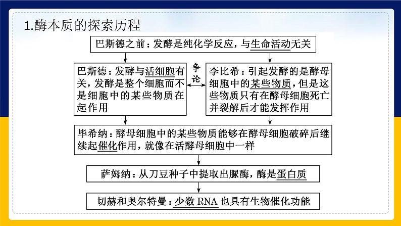 苏教版2019高一生物必修一第三章 细胞中能量的转换和利用（单元复习课件）05