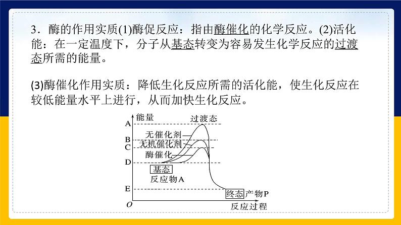 苏教版2019高一生物必修一第三章 细胞中能量的转换和利用（单元复习课件）07