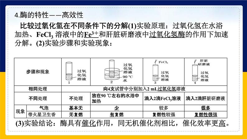 苏教版2019高一生物必修一第三章 细胞中能量的转换和利用（单元复习课件）08