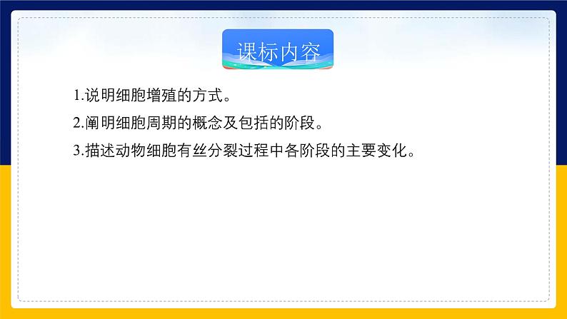 苏教版2019高一生物必修一4.1.1 细胞周期和动物细胞的有丝分裂（课件）02