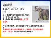 苏教版2019高一生物必修一4.1.1 细胞周期和动物细胞的有丝分裂（课件）