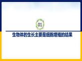 苏教版2019高一生物必修一4.1.1 细胞周期和动物细胞的有丝分裂（课件）