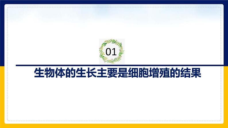 苏教版2019高一生物必修一4.1.1 细胞周期和动物细胞的有丝分裂（课件）04