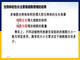 苏教版2019高一生物必修一4.1.1 细胞周期和动物细胞的有丝分裂（课件）