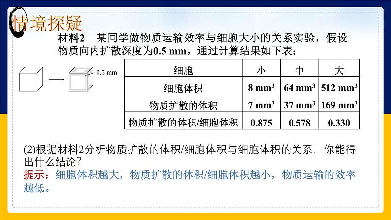 苏教版2019高一生物必修一4.1.1 细胞周期和动物细胞的有丝分裂（课件）07