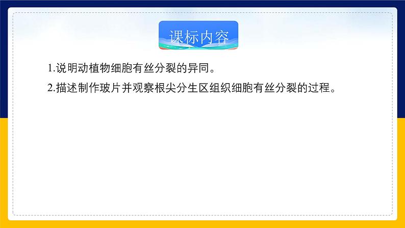 苏教版2019高一生物必修一4.1.2 植物细胞的有丝分裂与观察植物根尖细胞有丝分裂（课件）02