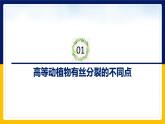 苏教版2019高一生物必修一4.1.2 植物细胞的有丝分裂与观察植物根尖细胞有丝分裂（课件）