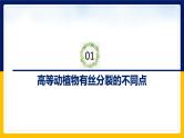 苏教版2019高一生物必修一4.1.2 植物细胞的有丝分裂与观察植物根尖细胞有丝分裂（课件）