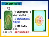 苏教版2019高一生物必修一4.1.2 植物细胞的有丝分裂与观察植物根尖细胞有丝分裂（课件）