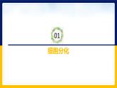 苏教版2019高一生物必修一4.2.1 细胞分化和细胞全能性（课件）