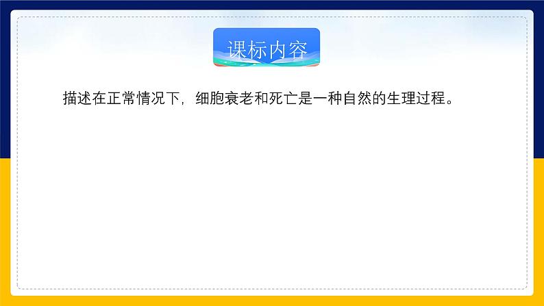 苏教版2019高一生物必修一4.2.2 细胞衰老和细胞死亡（课件）02