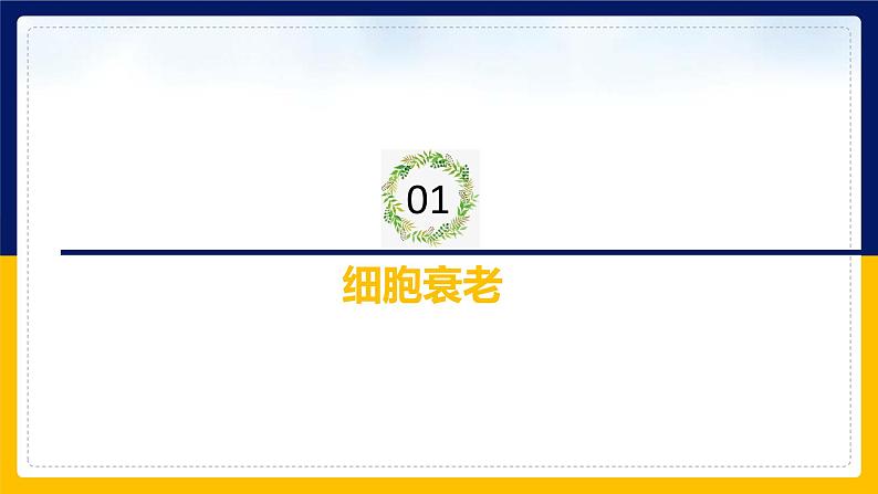 苏教版2019高一生物必修一4.2.2 细胞衰老和细胞死亡（课件）03