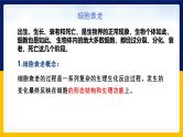 苏教版2019高一生物必修一4.2.2 细胞衰老和细胞死亡（课件）