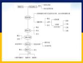 苏教版2019高一生物必修一第四章 细胞增殖、分化、衰老和死亡（单元复习课件）