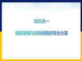 苏教版2019高一生物必修一第四章 细胞增殖、分化、衰老和死亡（单元复习课件）