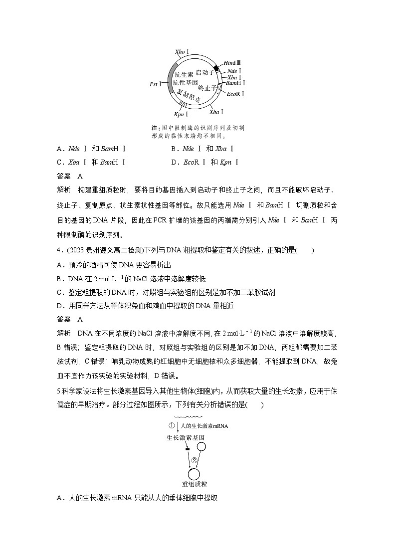 2024高中生物选择性必修第三册（人教版2019）同步讲义第3章章末检测试卷（三）（Word版附解析）02