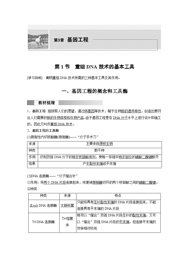 2024高中生物选择性必修第三册（人教版2019）同步讲义第3章第1节重组DNA技术的基本工具（Word版附解析）01