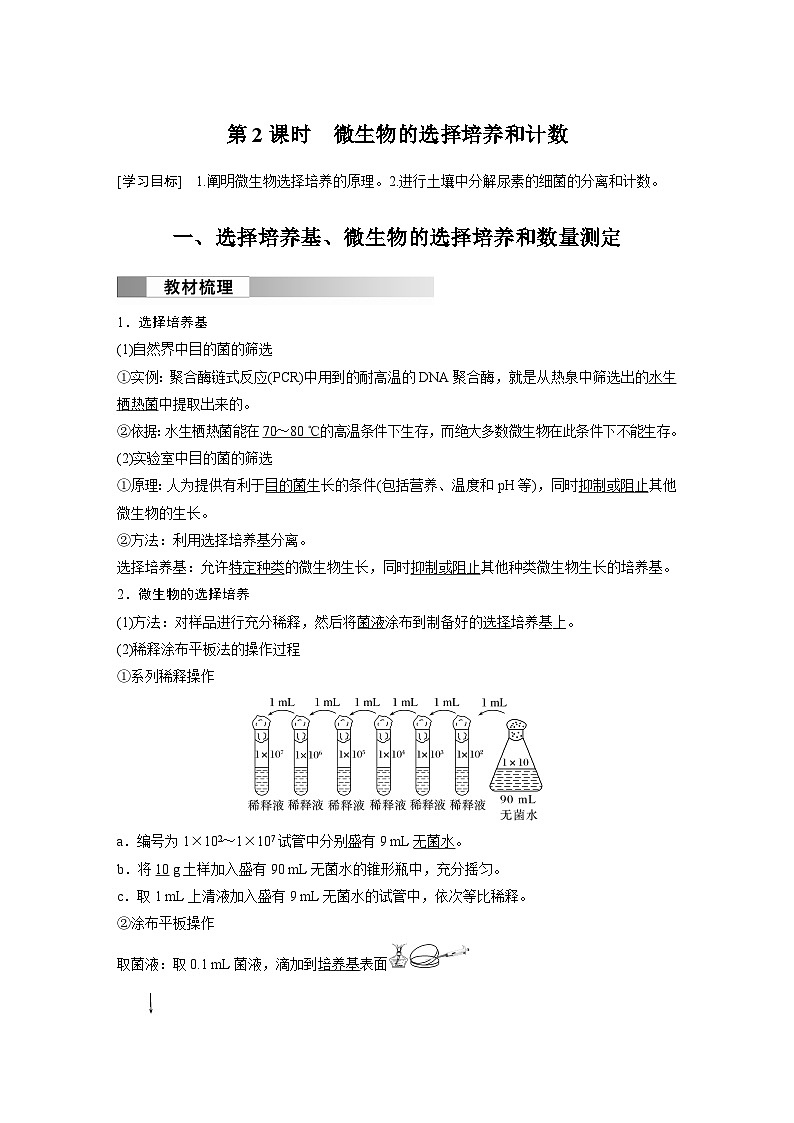 2024高中生物选择性必修第三册（人教版2019）同步讲义第1章第2节第2课时微生物的选择培养和计数（Word版附解析）01