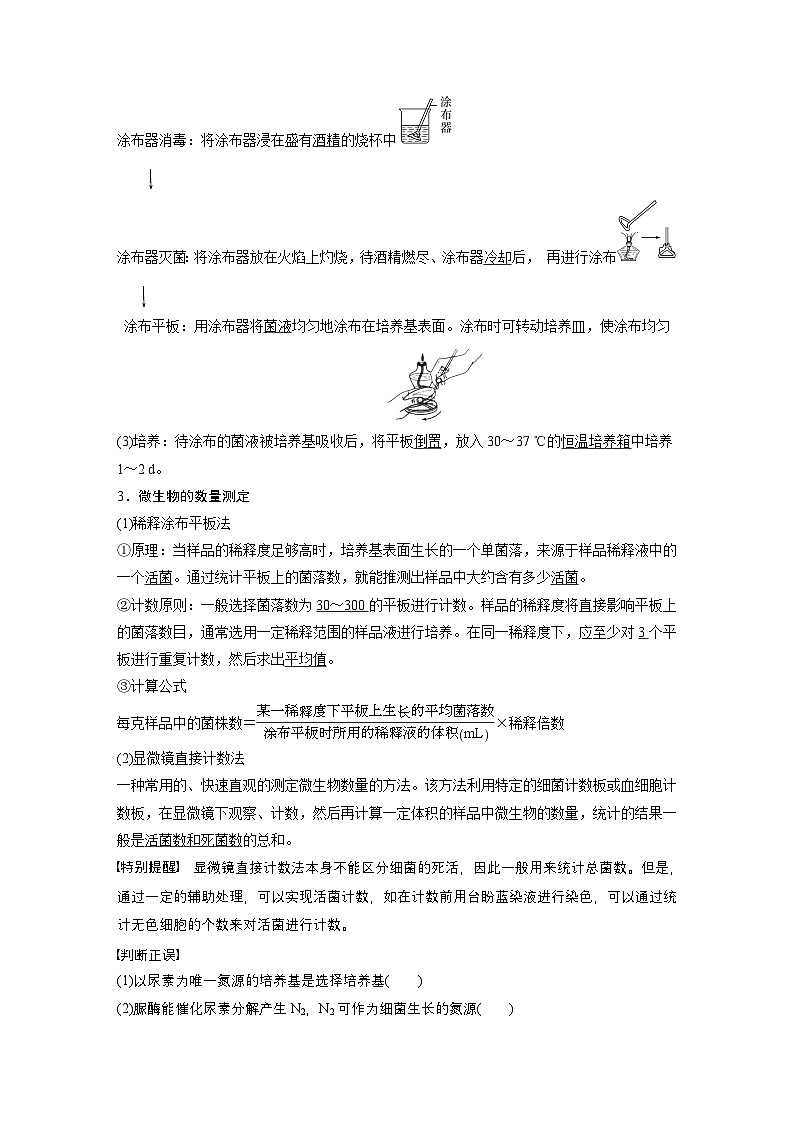 2024高中生物选择性必修第三册（人教版2019）同步讲义第1章第2节第2课时微生物的选择培养和计数（Word版附解析）02