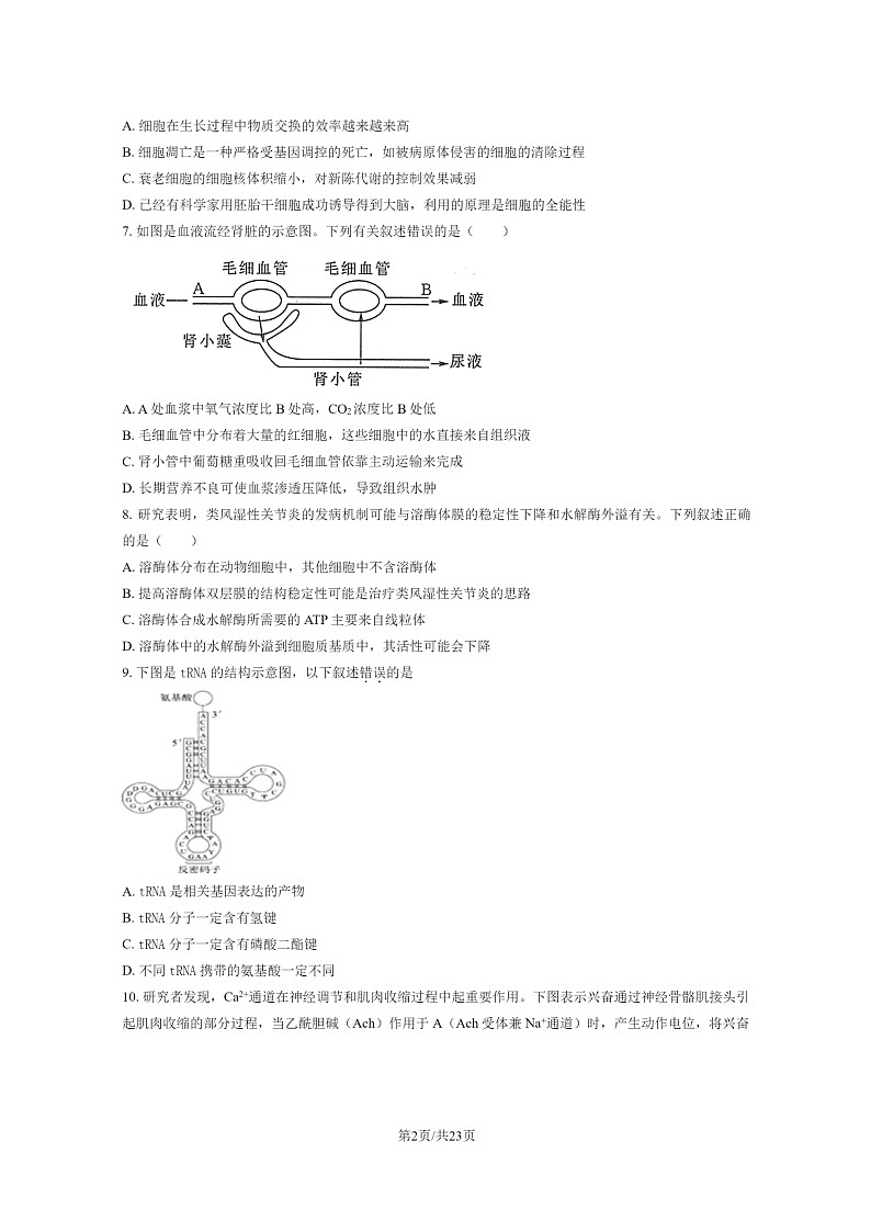 [生物]2024北京一零一中高二上学期开学考试卷及答案第2页