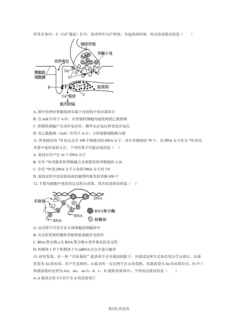 [生物]2024北京一零一中高二上学期开学考试卷及答案第3页