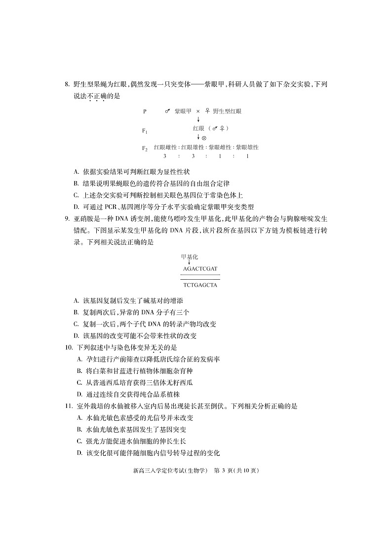 [生物]2024北京高三上学期入学定位考试卷及答案第3页