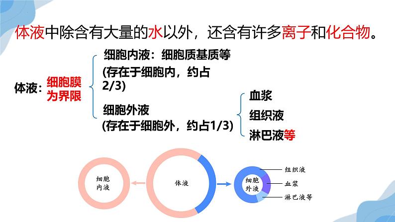 1.1 细胞生活的环境 课件（人教版2019选必1）06