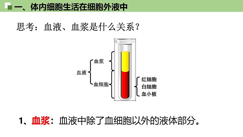 1.1 细胞生活的环境 课件（人教版2019选必1）07